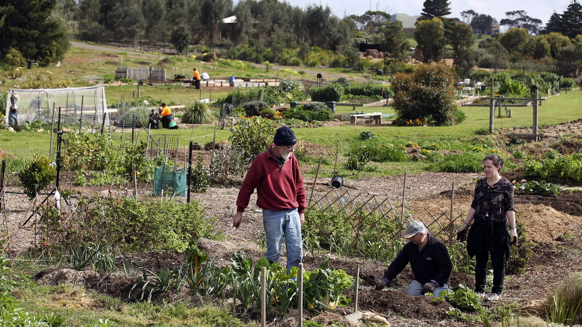 Warrnambool Community Garden