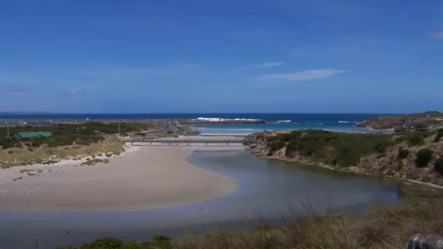 stingray bay